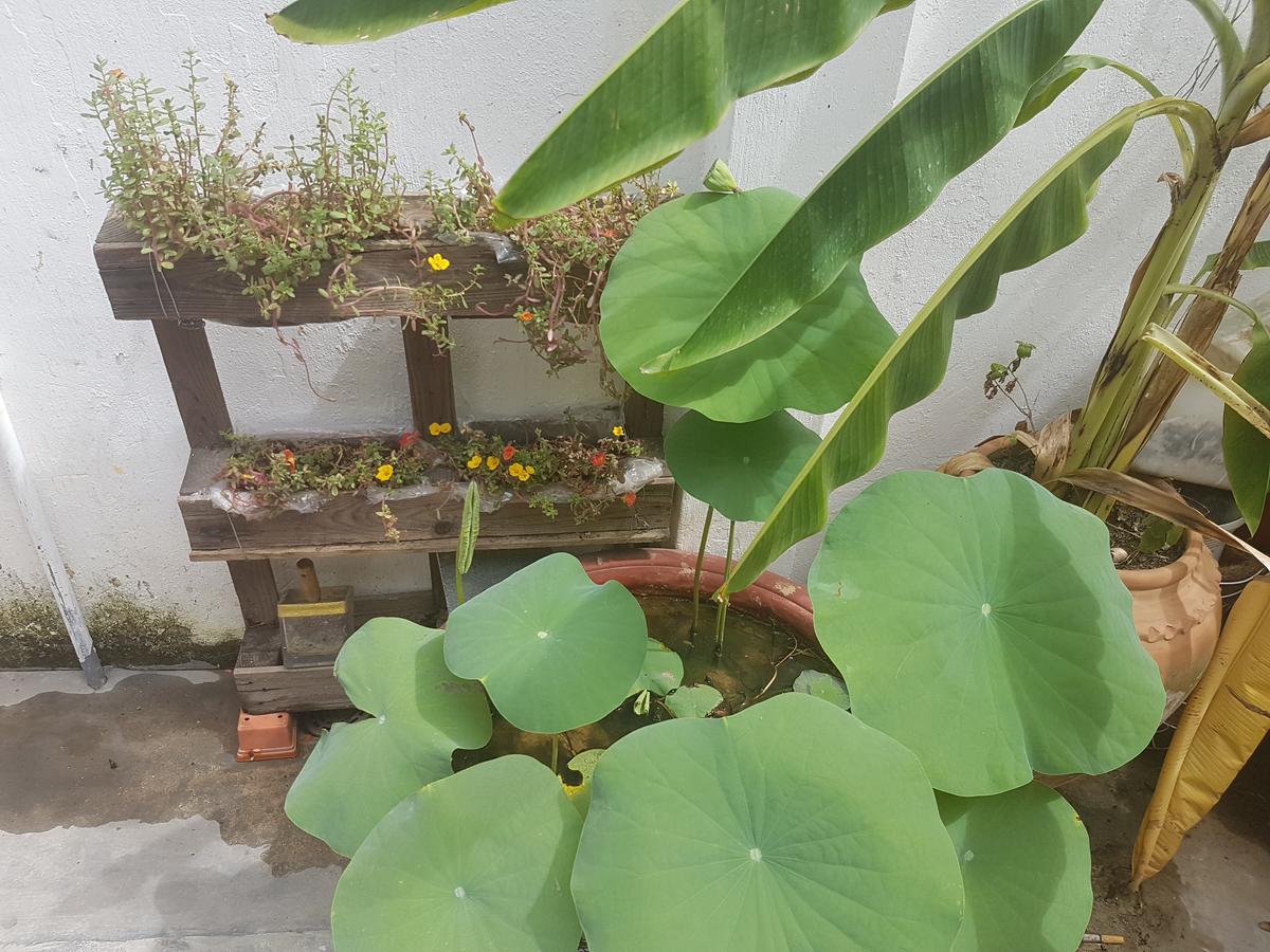 La La House Homestay Nha Trang Exterior foto